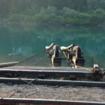 Endlich im Wasser, oder lieber doch nicht