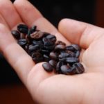 Santo Antao - Sind wir im Paradisgarten??