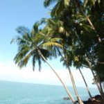 Isle de Salut
