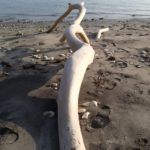 Best Blog Award - Blogstöckchen